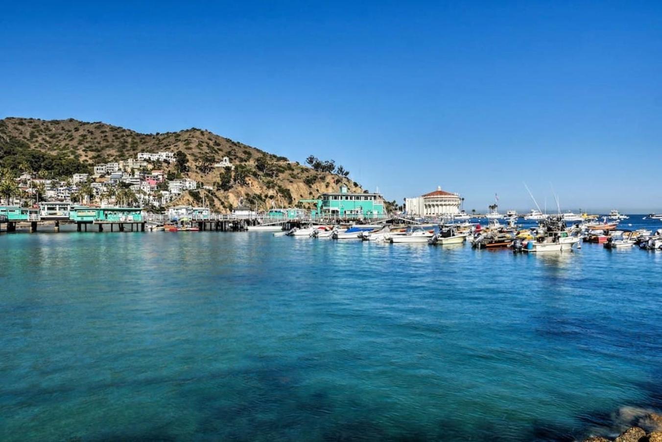 Lux Oceanfront Villa With Breathtaking Views Авалон Екстериор снимка